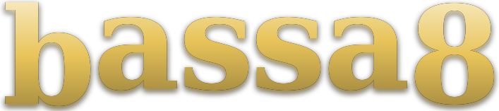 bassa8 logo